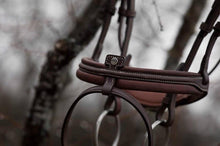 Load image into Gallery viewer, PRECISION - Flash Bridle