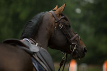 Load image into Gallery viewer, ORIGIN - Flash (Removable) Bridle