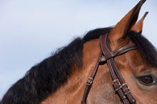 Load image into Gallery viewer, ORIGIN - Grain - Flash (Removable) Bridle w/Reins