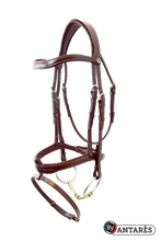 Load image into Gallery viewer, SIGNATURE - Flash Noseband Bridle