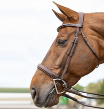 Load image into Gallery viewer, Antares Hunter Bridle