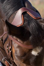 Load image into Gallery viewer, PRECISION - Flash Bridle