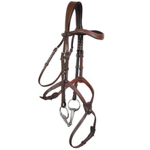 Load image into Gallery viewer, ORIGIN - Figure 8 Bridle