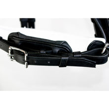 Load image into Gallery viewer, ORIGIN - Double Dressage Bridle