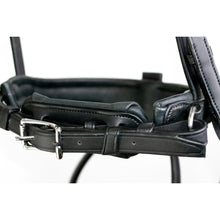Load image into Gallery viewer, PRECISION - Dressage Bridle