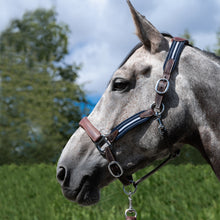Load image into Gallery viewer, Leather & Elastic Stressless Halter