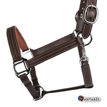 Load image into Gallery viewer, Signature Leather Halter