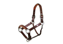 Load image into Gallery viewer, Leather Halter