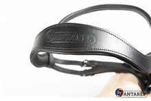 Load image into Gallery viewer, SIGNATURE - Dressage Flash Snaffle Bridle