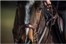 Load image into Gallery viewer, PRECISION - Y Noseband Bridle