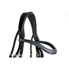 Load image into Gallery viewer, ORIGIN - Double Dressage Bridle